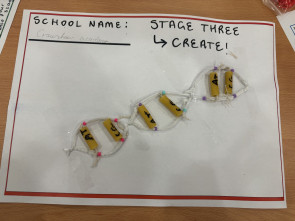 Crawshaw DNA